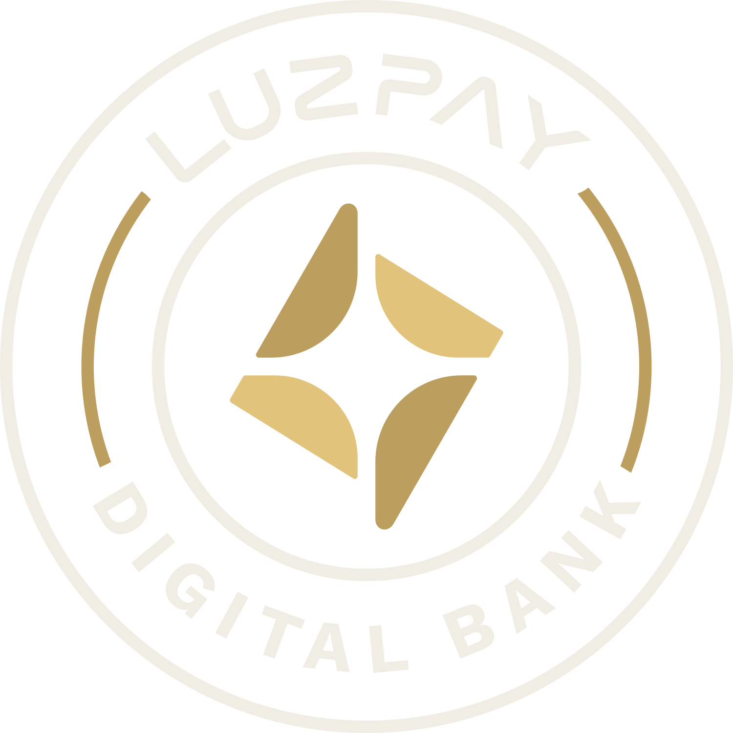 Luz Pay